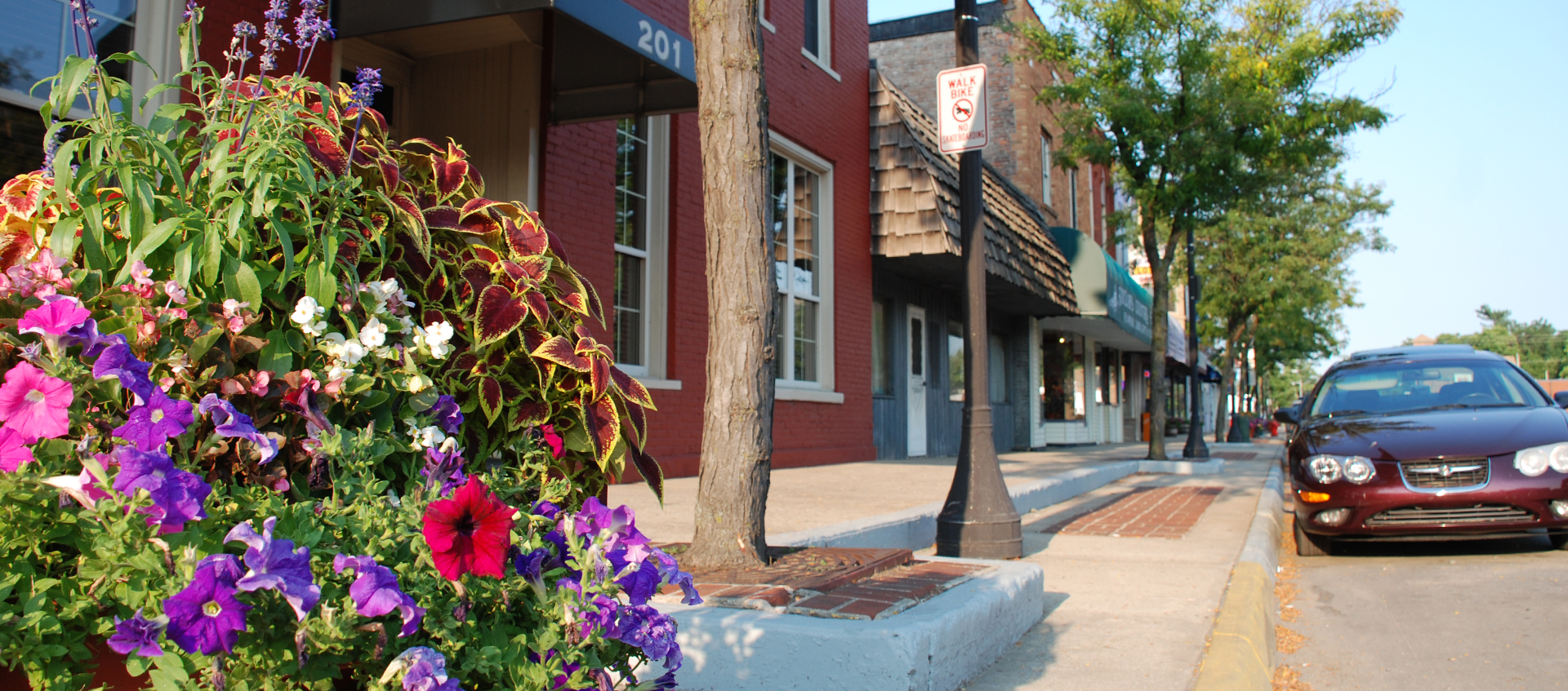 Who We Are Paw Paw DDA